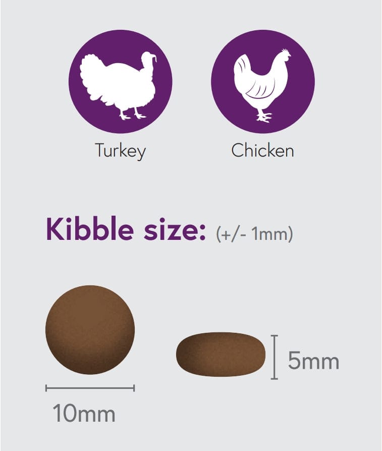 Turkey & Chicken for Kittens