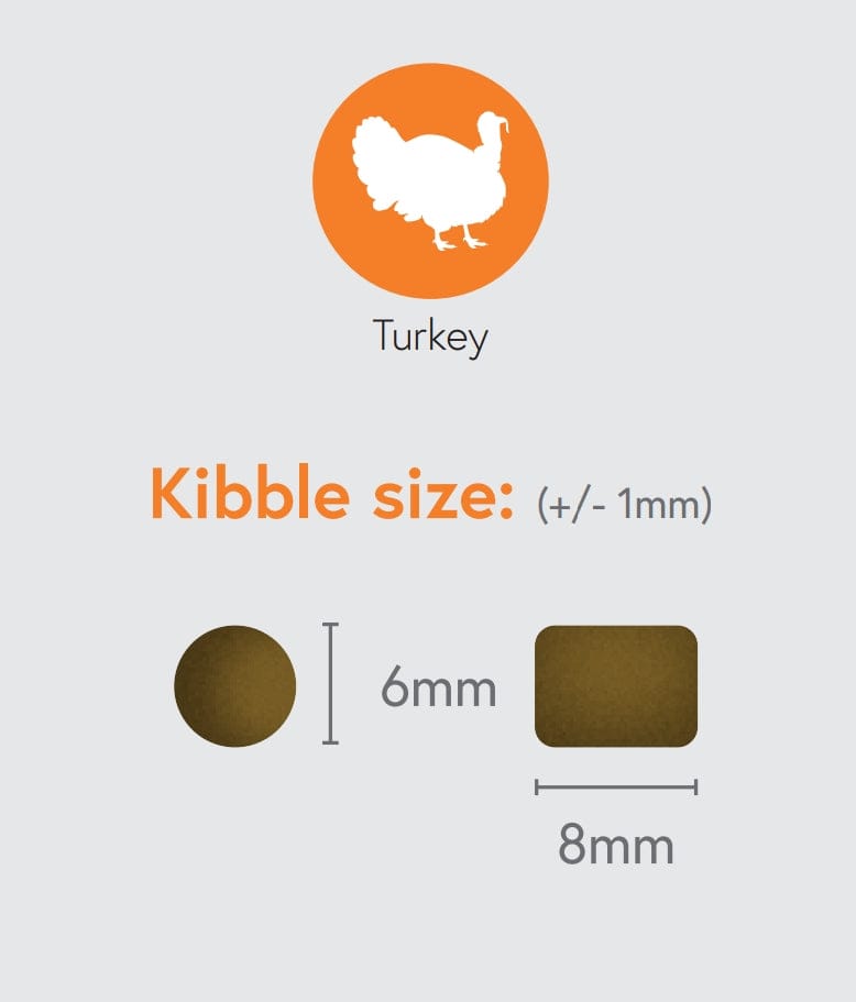 The Healthy Pet Company Complete Meal - Turkey with Rice for Adult Cats