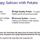 Salmon with Potato for Large Breed Puppies