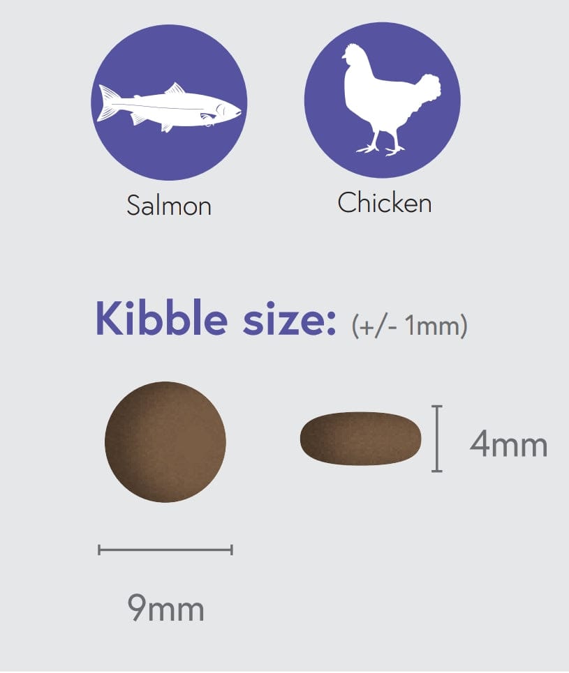 Salmon with Chicken & Rice for Adult Cats