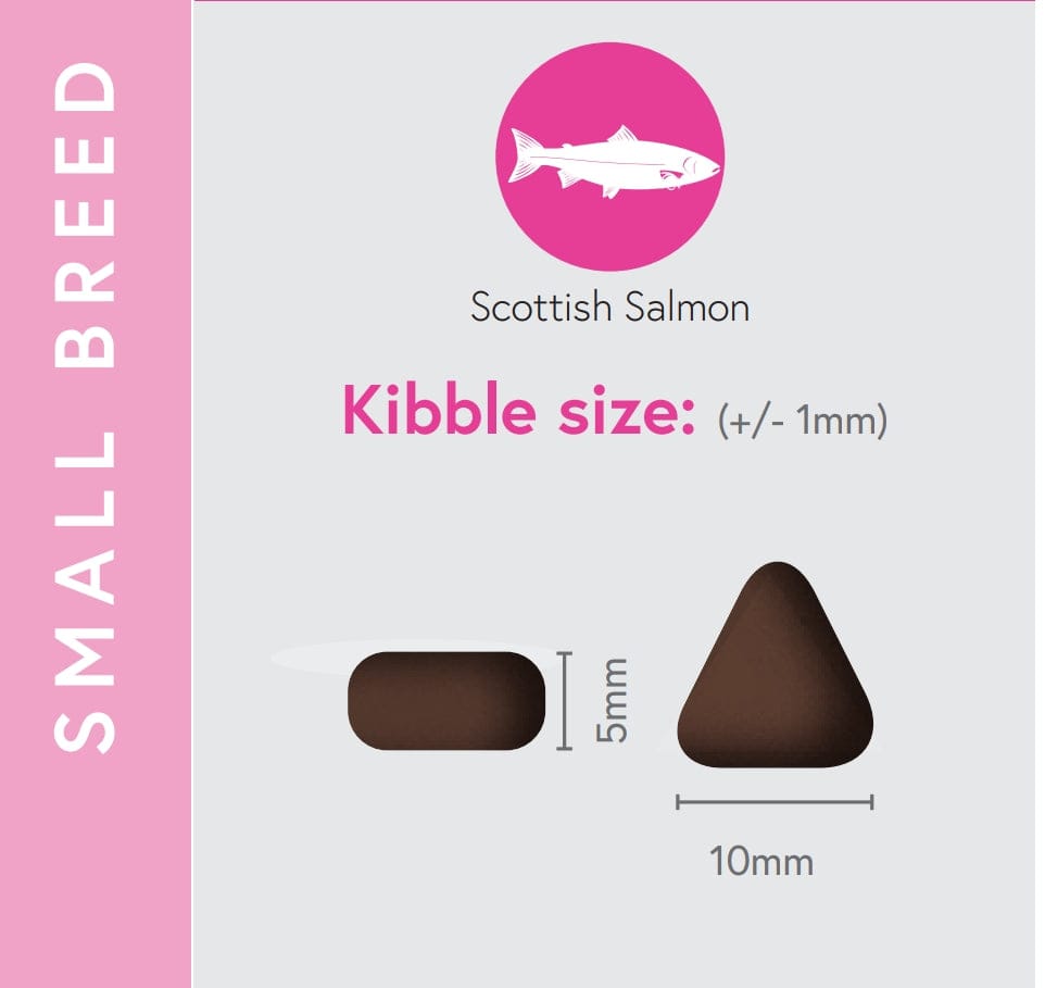 Scottish Salmon, Sweet Potato & Superfoods for Small Breed Adult Dogs