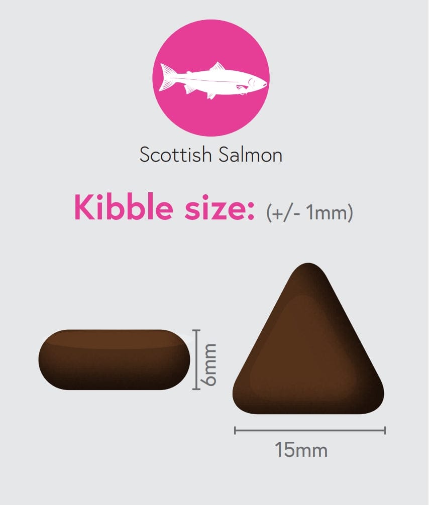 Scottish Salmon, Sweet Potato & Superfoods for Adult Dogs