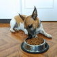 Beef, Sweet Potato & Superfoods for Small Breed Adult Dogs