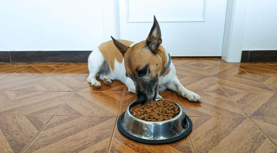 Beef, Sweet Potato & Superfoods for Small Breed Adult Dogs